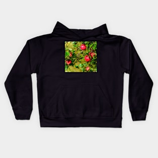 Late Summer Apples Kids Hoodie